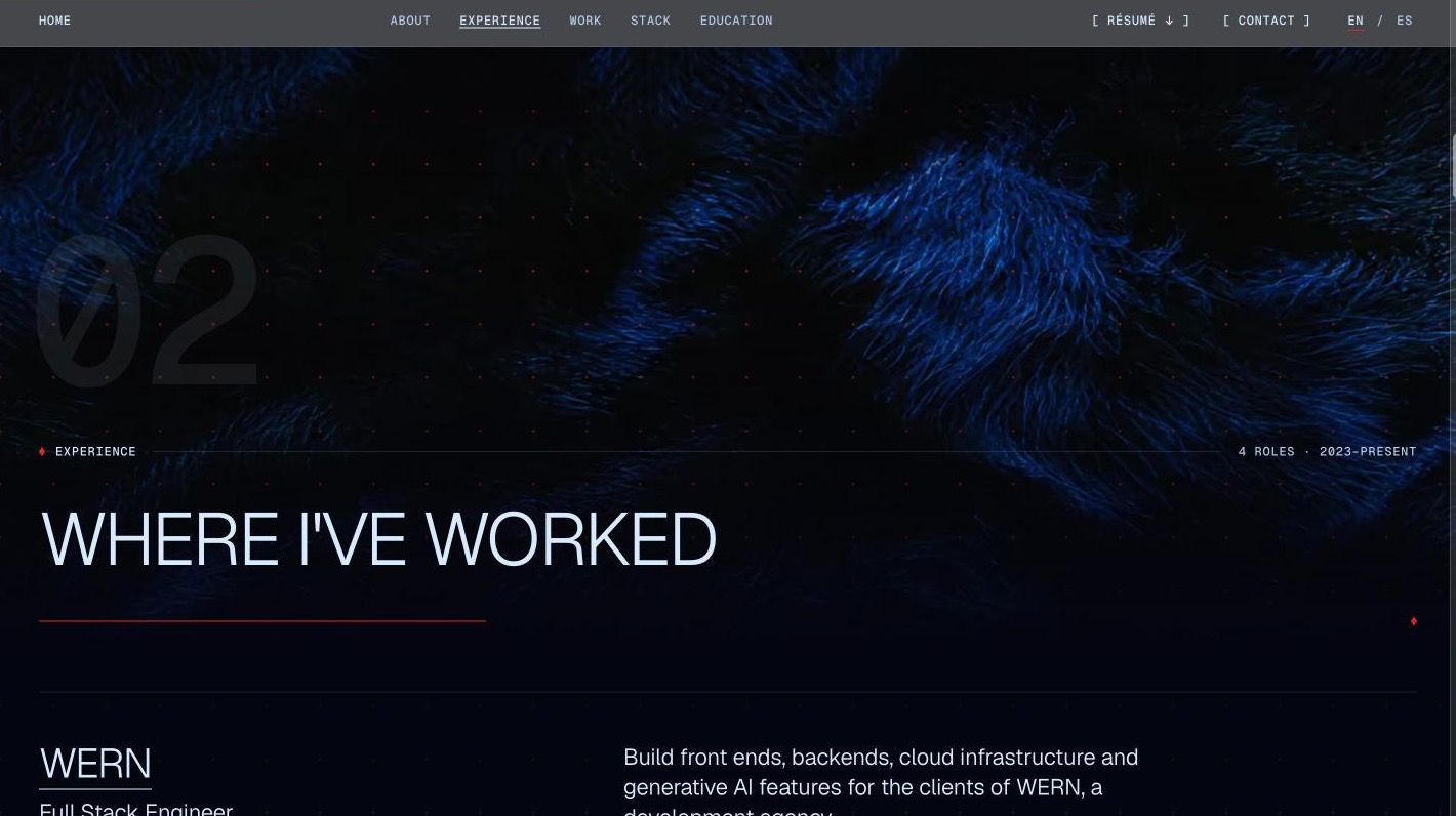 The opening of the Experience section over a texture of blue fur, with the section number, kicker and title